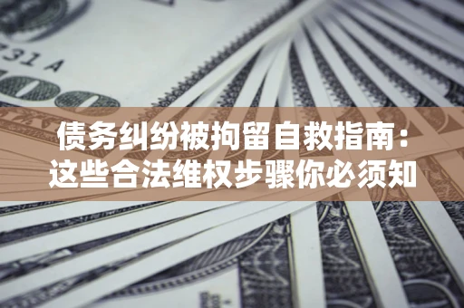 济南债务纠纷被拘留自救指南：这些合法维权步骤你必须知道！