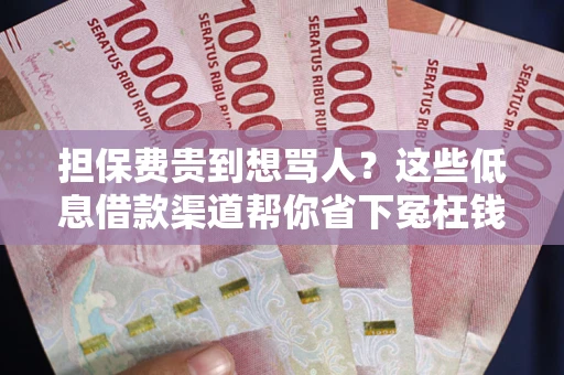 济南担保费贵到想骂人？这些低息借款渠道帮你省下冤枉钱