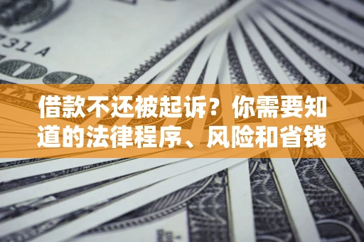 济南借款不还被起诉？你需要知道的法律程序、风险和省钱技巧
